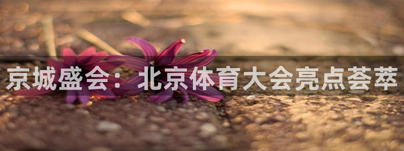 意昂5Kgame5招商：京城盛会：北京体育大会亮点荟萃