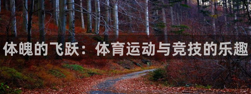 意昂5Kgame5招商：体魄的飞跃：体育运动与竞技的乐趣