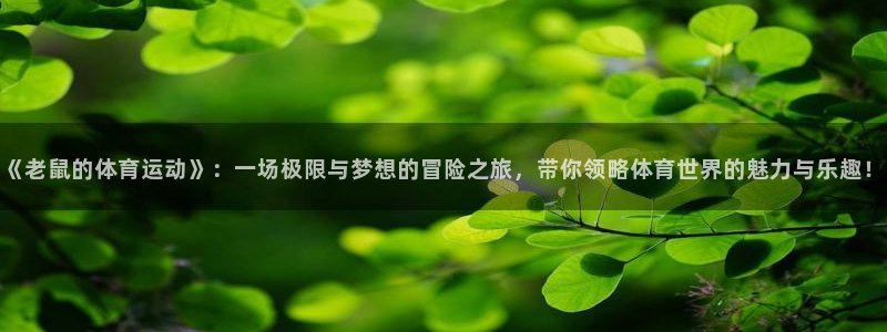 意昂5Kgame平台注册：《老鼠的体育运动》：一场极限与梦想的冒险之旅，带你领略