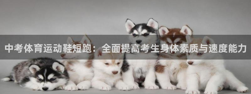 意昂5Kgame体育官网注册：中考体育运动鞋短跑：全面提高考生身体素质与速度能力