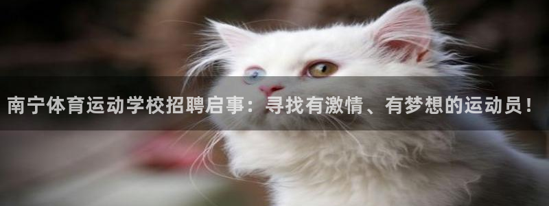 意昂5Kgame电子有限公司：南宁体育运动学校招聘启事：寻找有激情、有梦想的运动员！