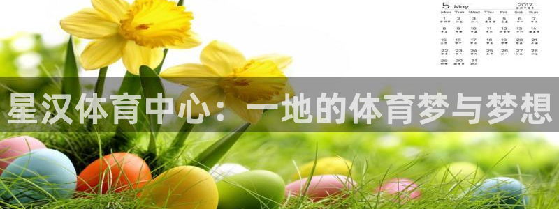 意昂5Kgame体育1招商：星汉体育中心：一地的体育梦与梦想