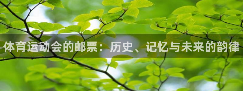 意昂5Kgame主管：体育运动会的邮票：历史、记忆与未来的韵律