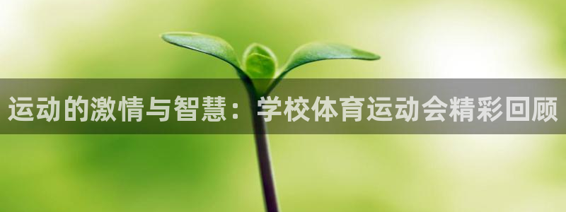 意昂5Kgame代理注册官网入口：运动的激情与智慧：学校体育运动会精彩回顾