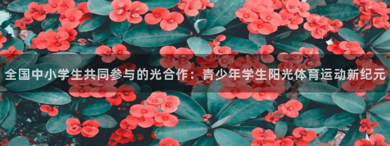意昂5Kgame电子有限公司：全国中小学生共同参与的光合作：青少年学生阳光体育运动新纪元