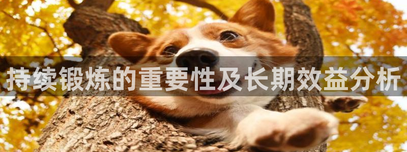 意昂5Kgame招商：持续锻炼的重要性及长期效益分析