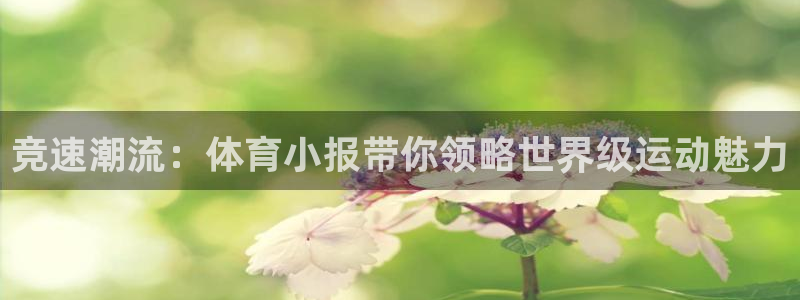 意昂5Kgame4开户：竞速潮流：体育小报带你领略世界级运动魅力