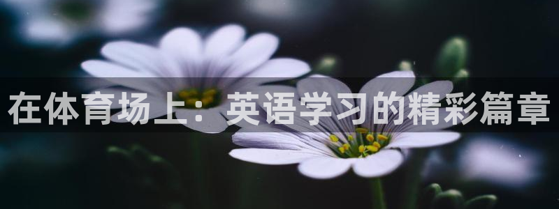 意昂5Kgame官网入口：在体育场上：英语学习的精彩篇章