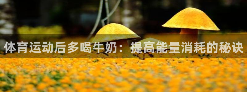 www.意昂5Kgame体育.com：体育运动后多喝牛奶：提高能量消耗的秘诀